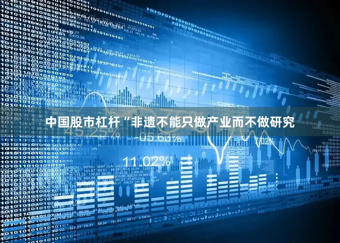 中国股市杠杆“非遗不能只做产业而不做研究